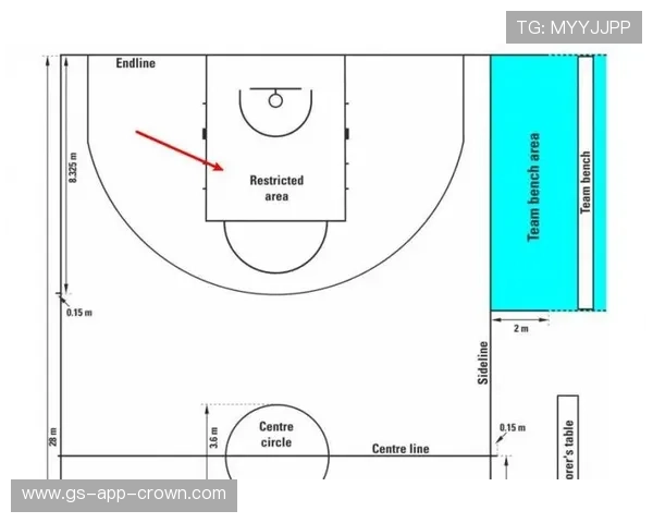 罚球规则NBA与FIBA区别解析如何理解判罚差异